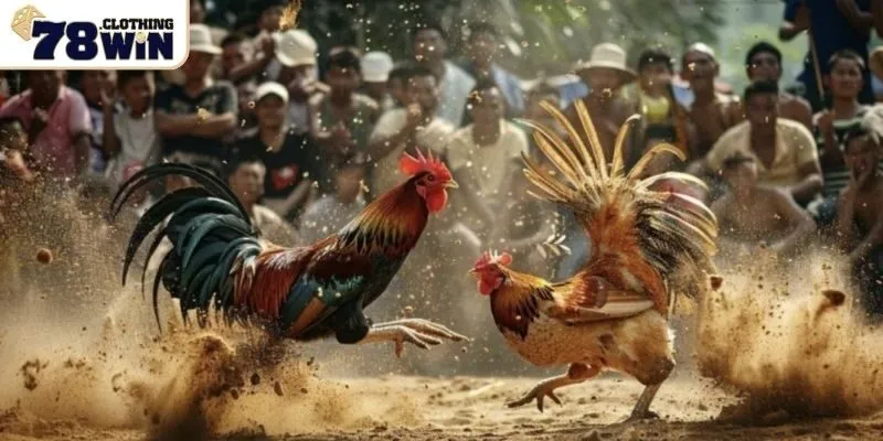 Mẹo áp dụng để làm chủ trận đấu 